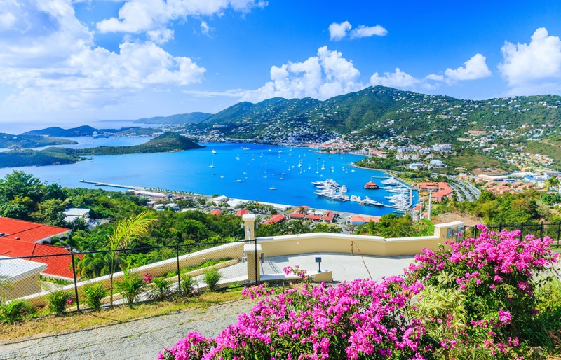 image of caribbean mountains, a beach, and a blue sky with clouds. There are pink flowers in the foreground of the image. 